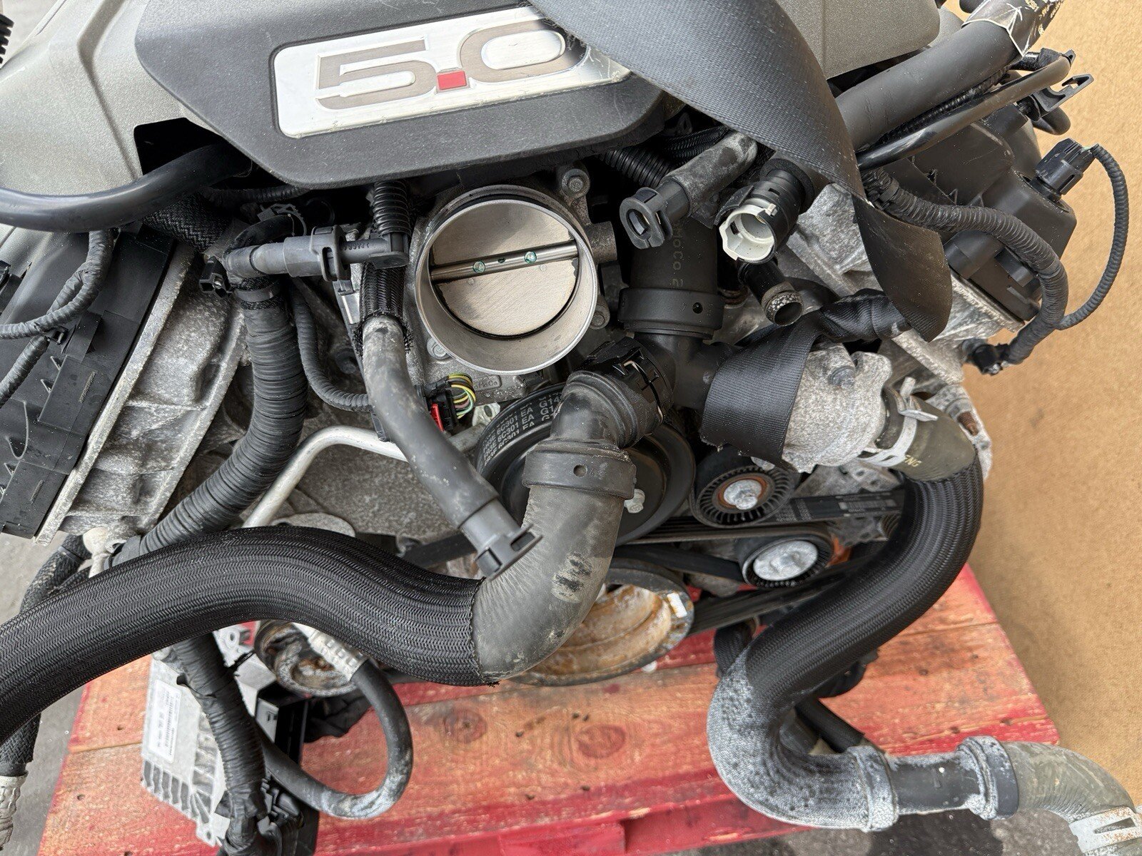 FORD MUSTANG GT 15-17 OEM ENGINE - Image 4